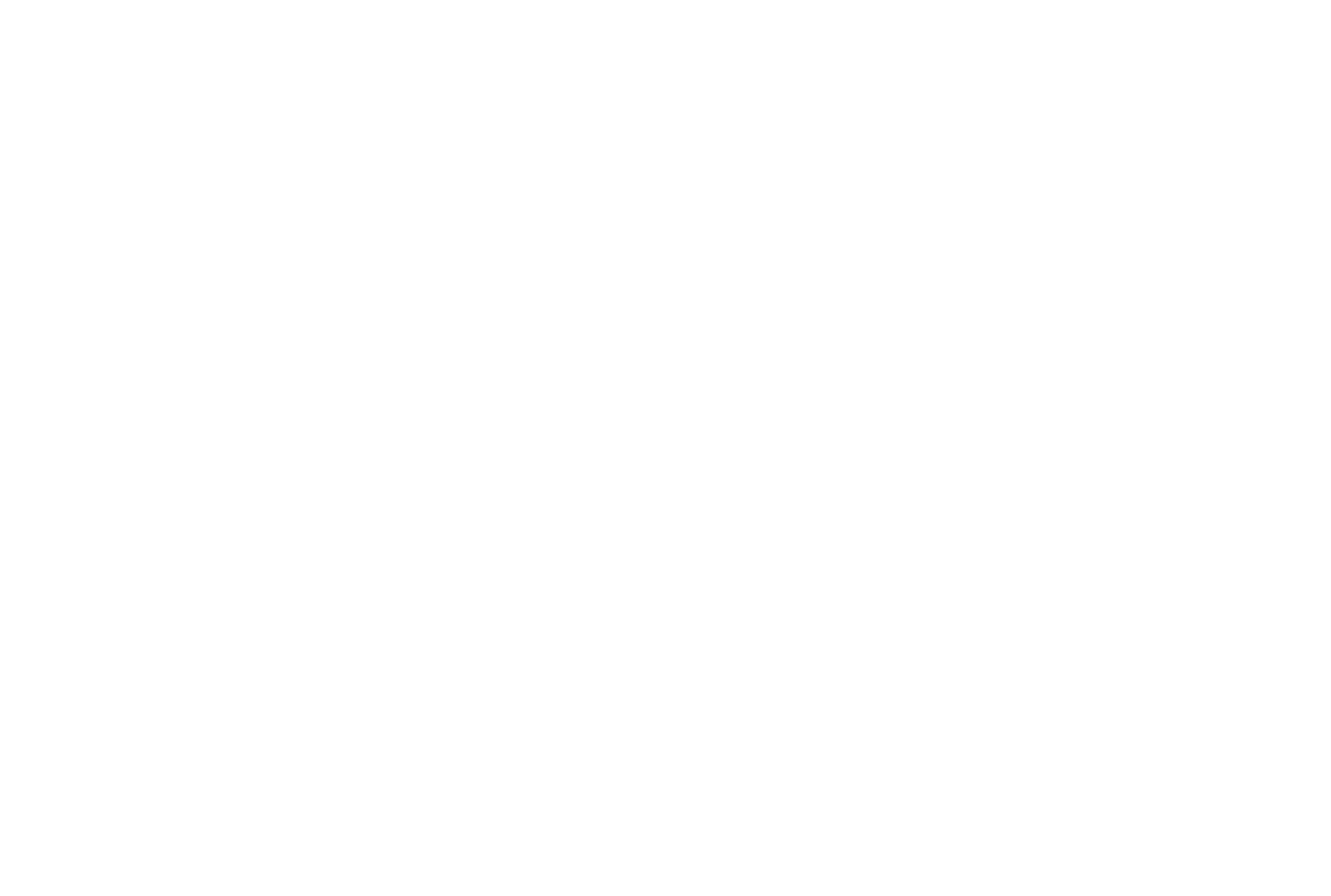 BirdBox logo